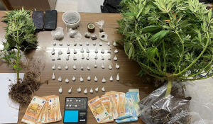 Συνελήφθησαν δύο άνδρες για διακίνηση ναρκωτικών και καλλιέργεια κάνναβης στην Αμοργό