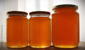 Βελτίωση των συνθηκών Παραγωγής και Εμπορίας των προϊόντων της Μελισσοκομίας έτους 2016: