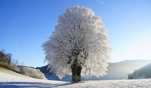 Οι προβλέψεις για τον φετινό χειμώνα - Οι προβλέψεις για τον φετινό χειμώνα