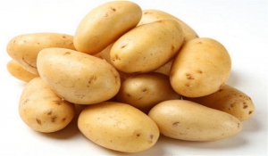 Πότε οι πατάτες μπορεί να προκαλέσουν δηλητηρίαση