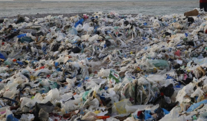 Έρευνα - σοκ: 1 εκατ. άνθρωποι πεθαίνουν κάθε χρόνο από την πλαστική ρύπανση