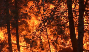 Φωτιά στην Πάρνηθα: Οι φλόγες πέρασαν στον Εθνικό Δρυμό!