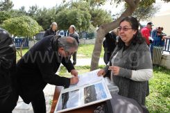 IMG_1674_resize.JPG