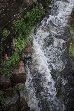 IMG_1043_resize.jpg