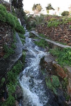 IMG_1045_resize.jpg