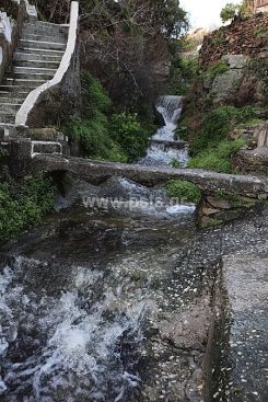 IMG_1055_resize.jpg