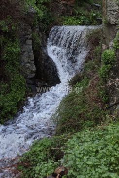 IMG_1063_resize.jpg