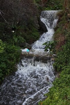 IMG_1080_resize.jpg