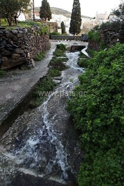 IMG_1082_resize.jpg