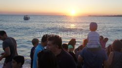 DSC08687.jpg