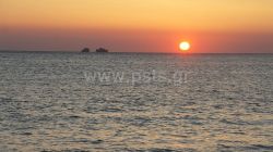 DSC08690.jpg