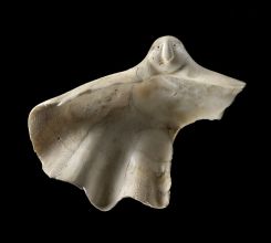 8-Coquillage a motifs graves.jpg