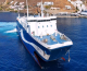 Cat 1 – Εντυπωσιακό ρεμέτζο 3' λεπτών στην Κύθνο! (Βίντεο)