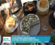 7ο «Food experience graviera Naxos 2025» - Κορυφαίες γαστρονομικές γεύσεις (βίντεο)