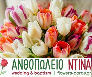 kdepap xristougenna 2020