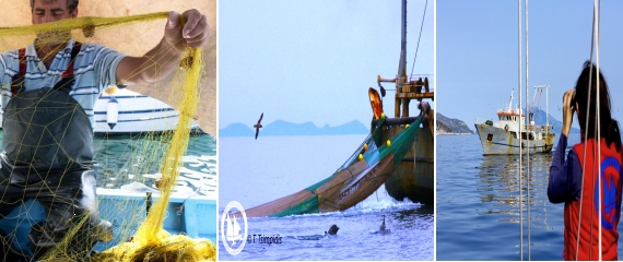 Το Αρχιπέλαγος Παρουσιάζει την Προσπάθεια Θεσμοθέτησης Συν-διαχειριζόμενης Ζώνης Αλιείας