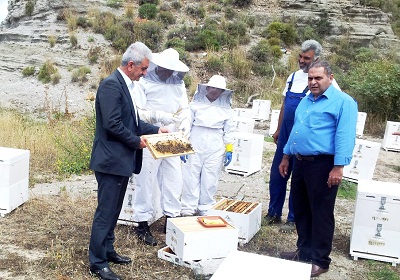 Εκπαιδευτικά προγράμματα μελισσοκομίας από την Περιφέρεια – Παρελήφθησαν κυψέλες από το Γεωπονικό Πανεπιστήμιο