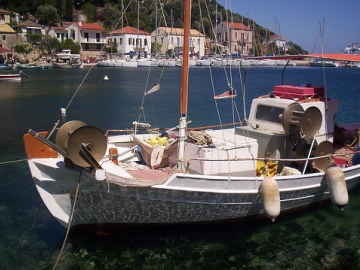 Σε κίνδυνο το 65% - 70% των αλιευμάτων στην Ελλάδα