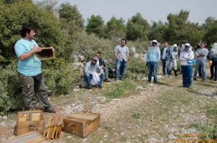 Σεμινάριο μελισσοκομίας στην Κέα