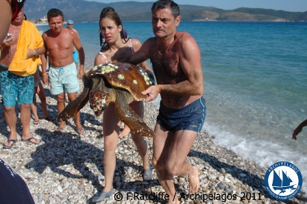 Διάσωση χελώνας Caretta caretta στη Σάμο