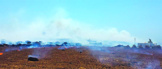 Αποκλειστικό: Πάρος - Μεγάλη φωτιά στο Βουτάκο - Μακριά Μύτη