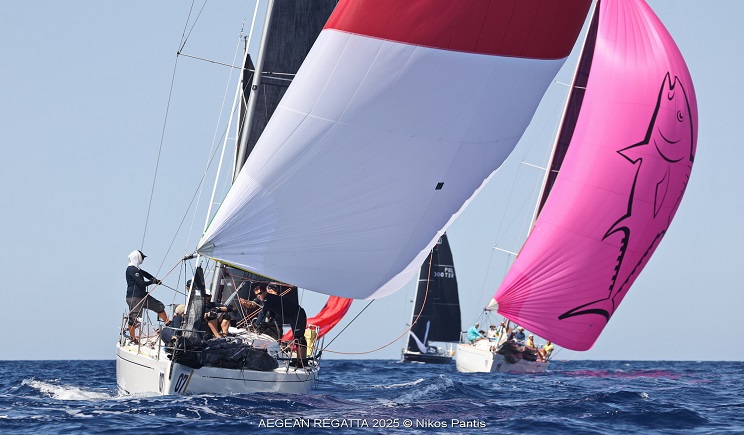 regatta 252