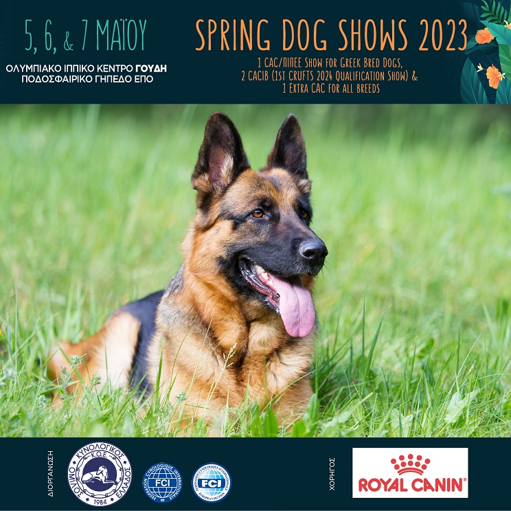sping dog shows 02