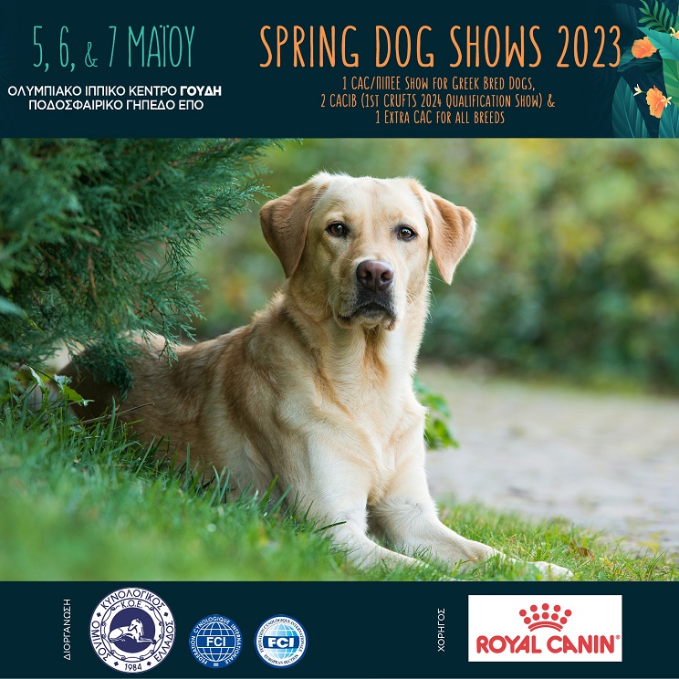sping dog shows 03