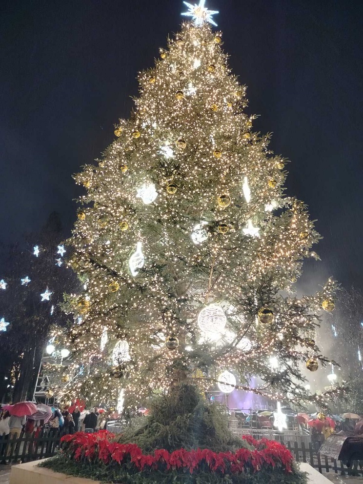 xristougenna athina 102