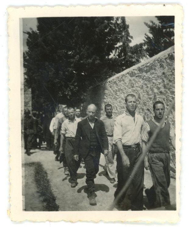 Φωτογραφική Συλλογή Χόιερ2