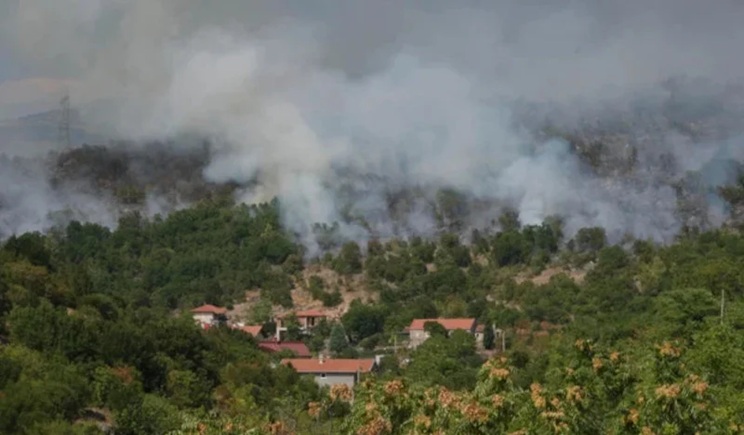 Podgorica pyrkagia