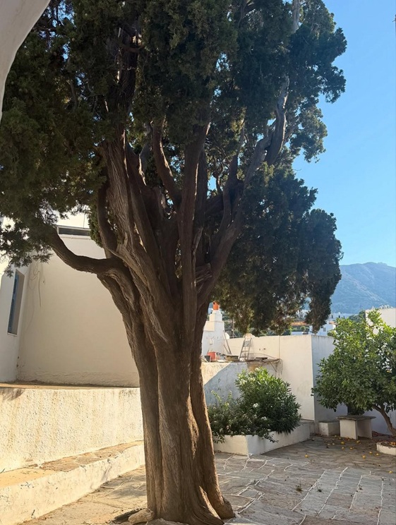 Sifnos f