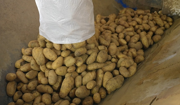 naxos patates tsouvali