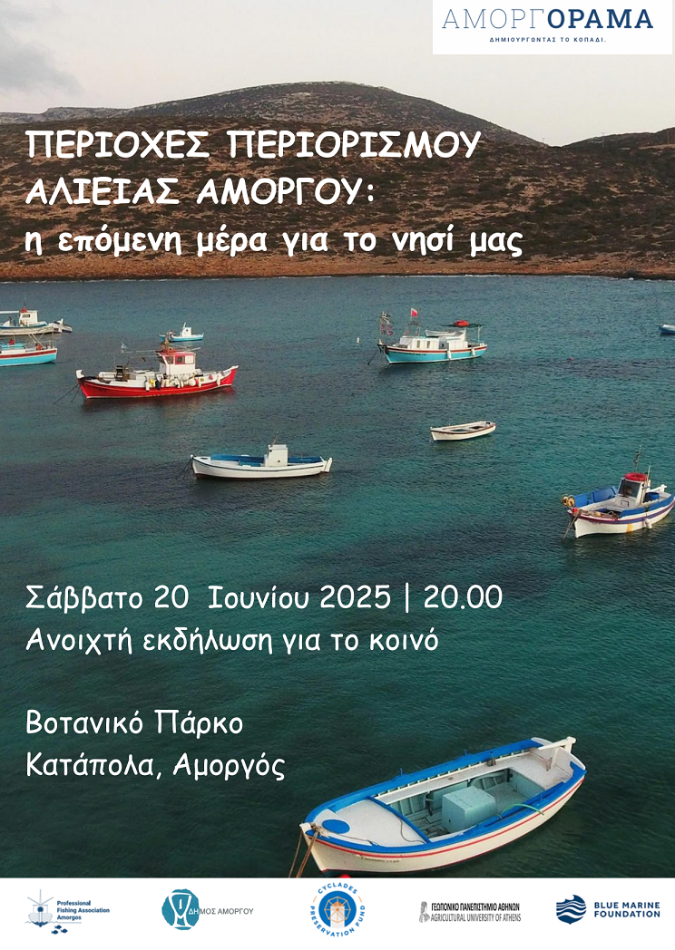 amorgorama 101