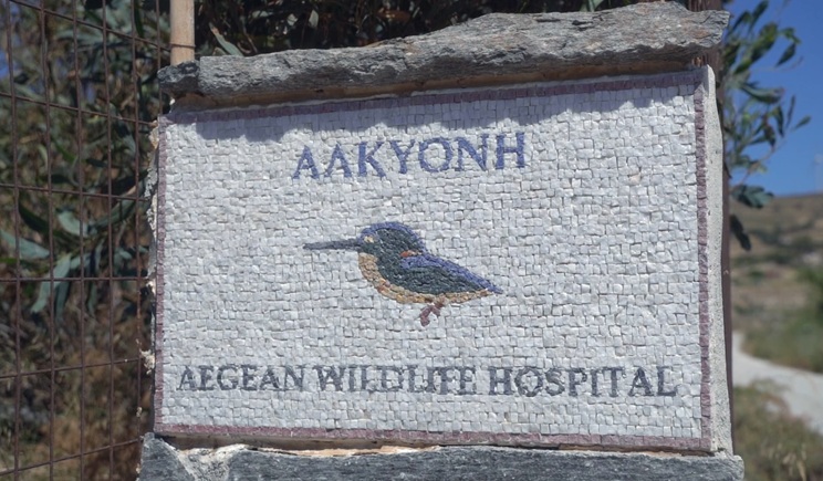 alkyoni paros