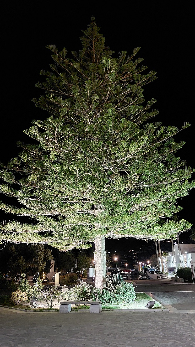 xristougenna paroikia104