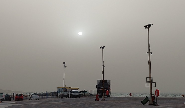 afrikaniki skoni 101