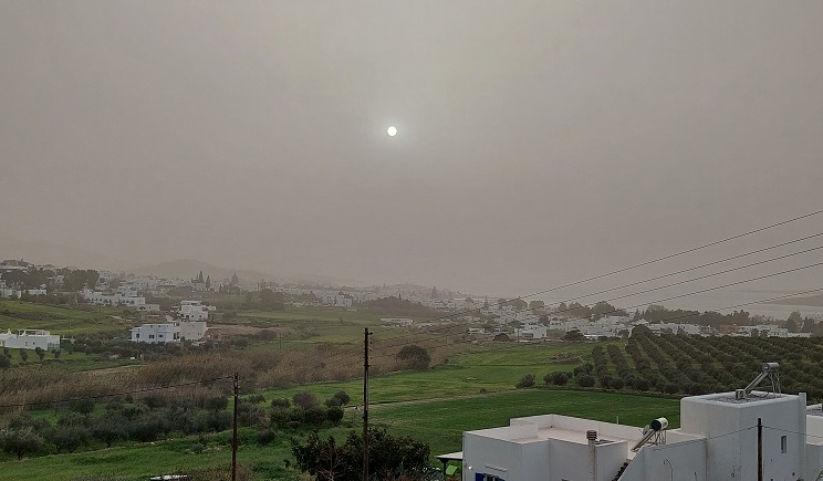 afrikaniki skoni 103