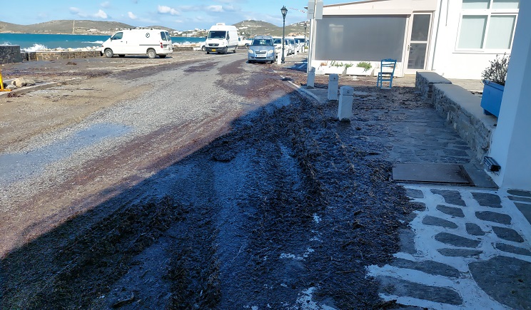 kakokairia paralia 18 02 26 106