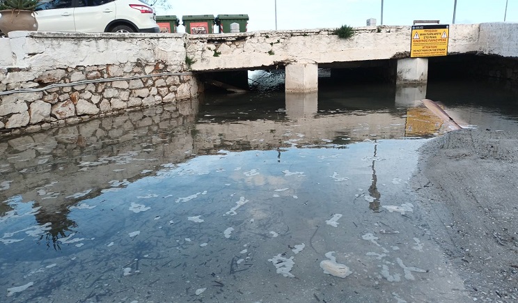 zoodoxos pigi plateia 103