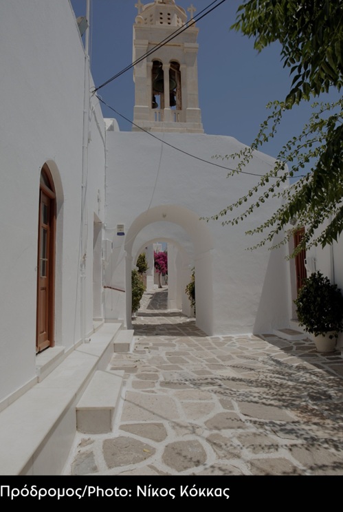 4. Πρόδρομος