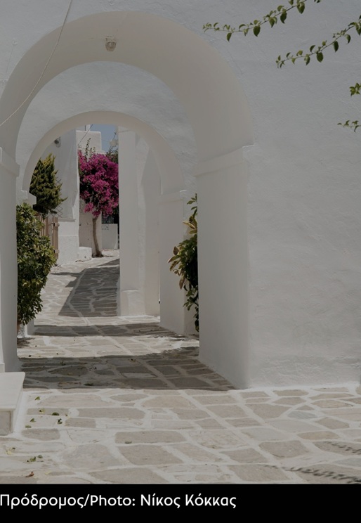 8. Πρόδρομος