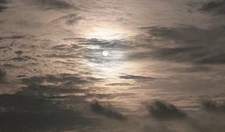 panselinos kastora 02