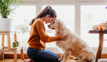 Μετά τον άνθρωπο, τα κατοικίδια: Στα σκαριά τα πρώτα φάρμακα αδυνατίσματος για τετράποδα