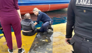 ΣΥΜΒΑΙΝΕΙ ΤΩΡΑ: Γυναίκα έπεσε στη θάλασσα λίγο πριν τον απόπλου του Blue Star Naxos για Πάρο – Επέμβαση Λιμενικών και προσωπικού του πλοίου… (Βίντεο)