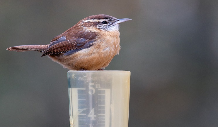 Πάρος: Αλλού έριχνε βροχή με το «τουλούμι» και αλλού με το… σταγονόμετρο! - Η Adel «έφερε» και χαλαζοπτώσεις