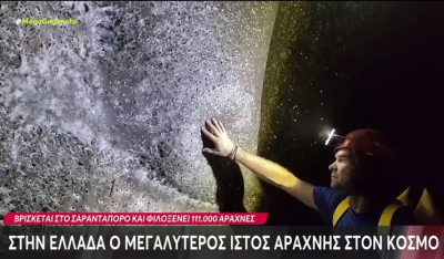 Στην Ελλάδα ο μεγαλύτερος ιστός αράχνης στον κόσμο (βίντεο)