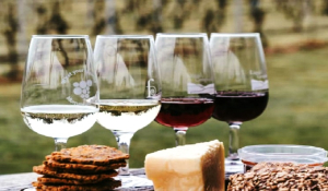 Κρασί: Μειώθηκε κατά 14% η ελληνική παραγωγή οίνου – Εκτίναξη των εξαγωγών