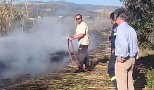 Πάρος: Φωτιά ξέσπασε στην Πούντα – Τέθηκε υπό έλεγχο