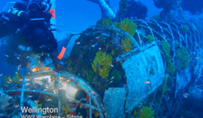 Dive Greece -London WTM 2024: Ένα μοναδικό βίντεο που θα σας ταξιδέψει στον ελληνικό βυθό